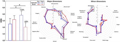 Transcranial electrical stimulation of the prefrontal cortex to boost the hypnosis experience: who benefits most?